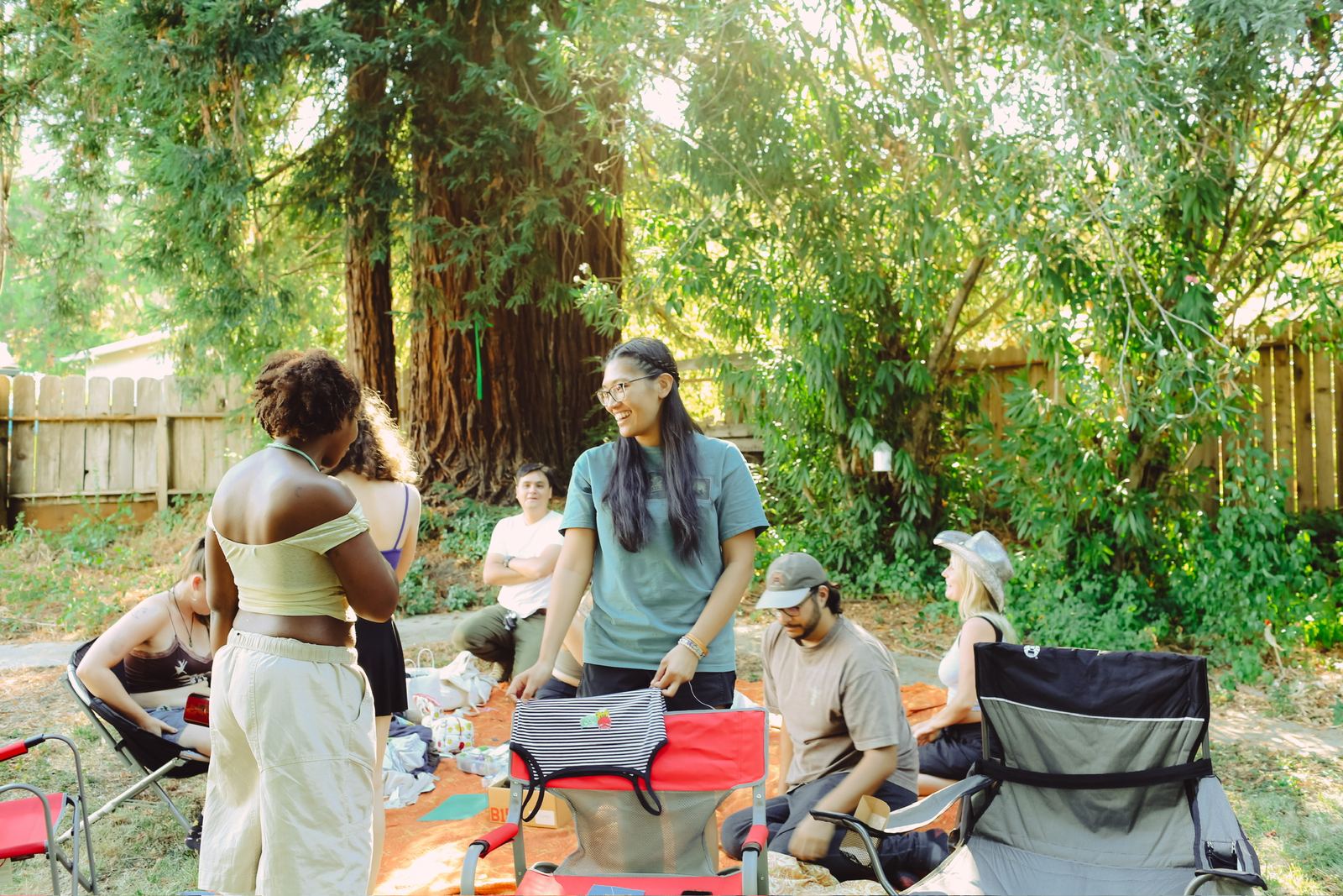 Camp chairs and redwoods