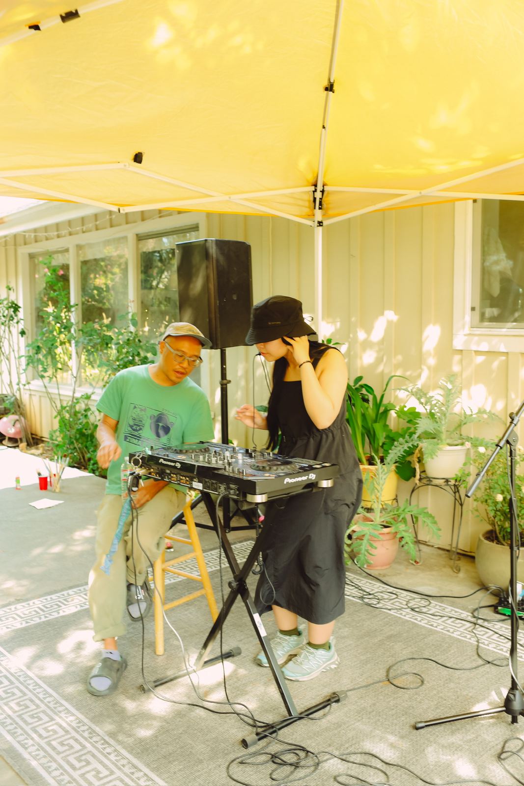 Live set under the canopy