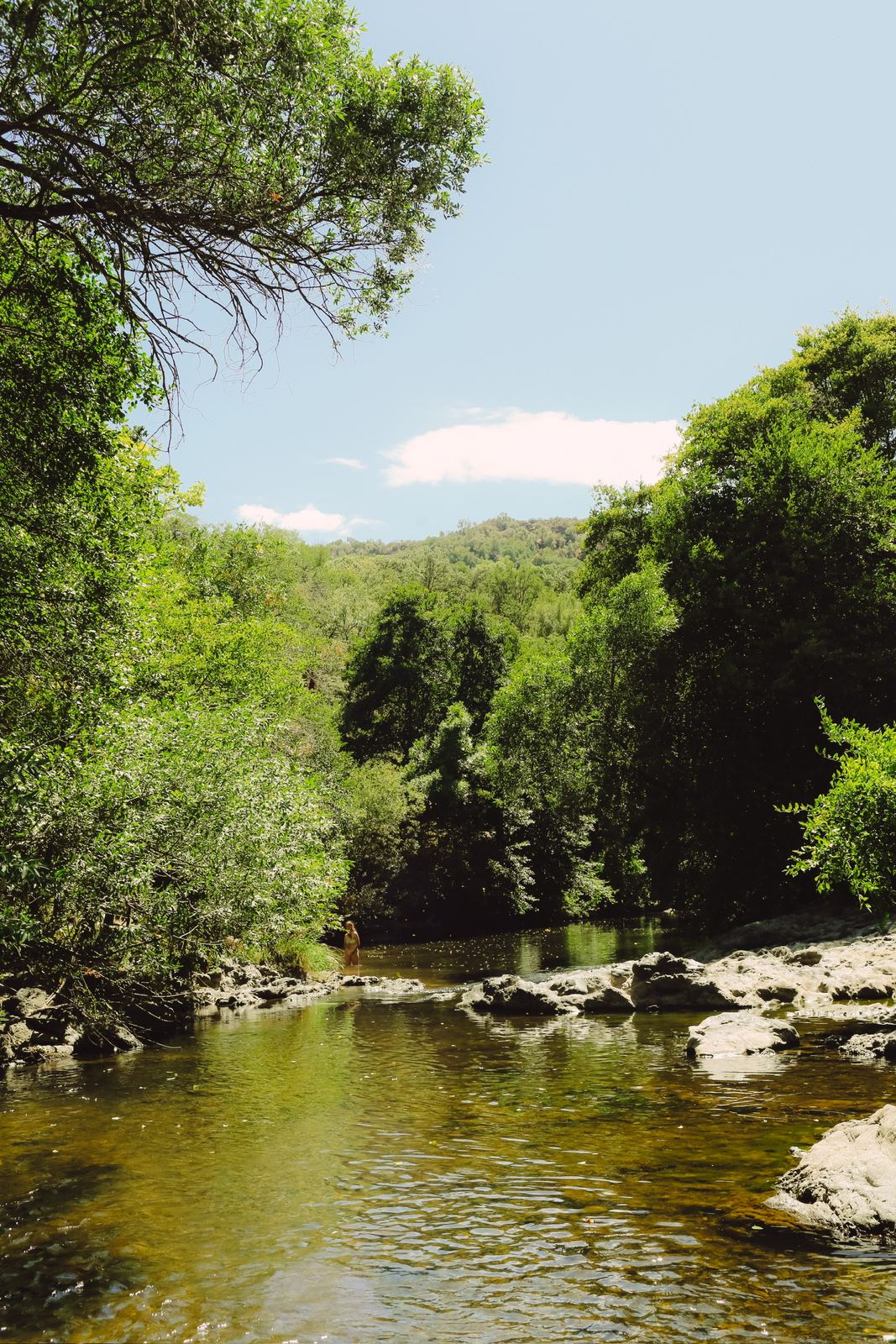 Quiet stretch of river